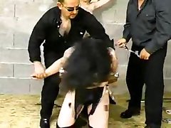 Captive amateur slaves Captive amateur slaves
