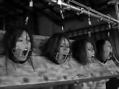 4 Little Piggies 4 Little Piggies